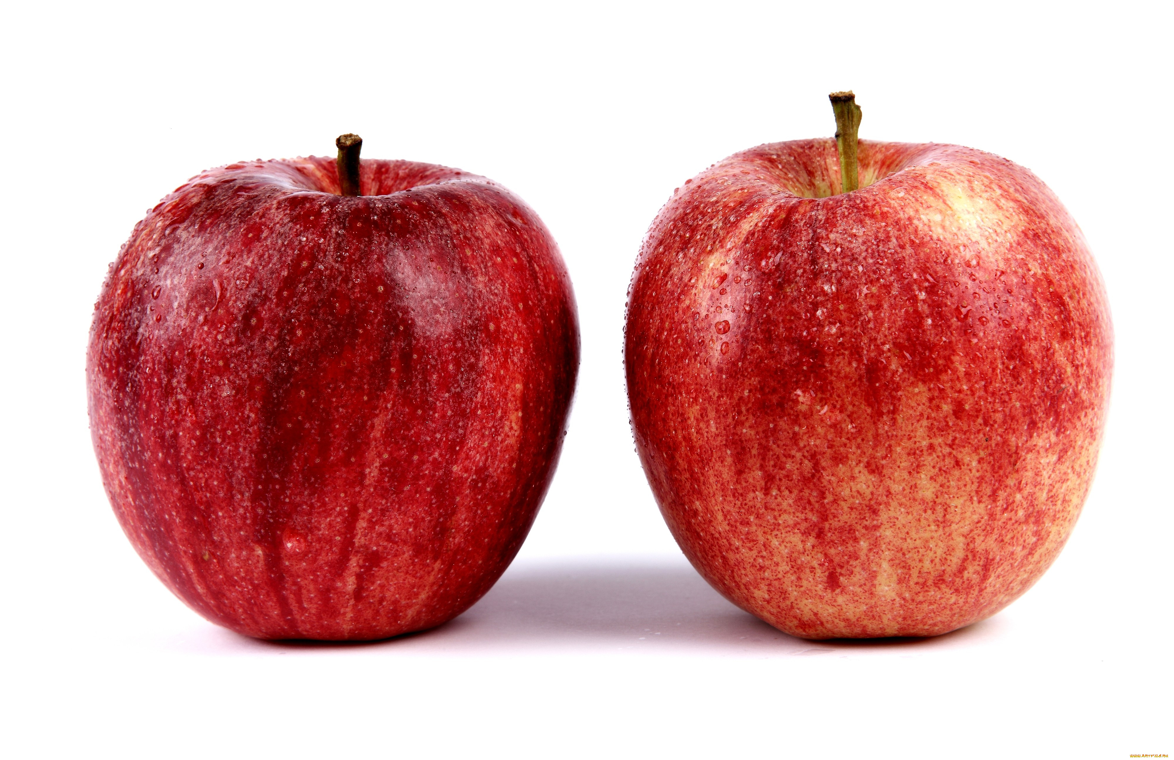 Два красных яблока